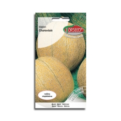 Melon cukrowy Charentais